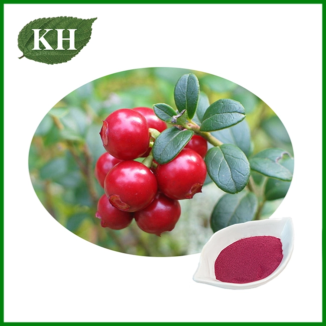 Cranberry Extract Powder